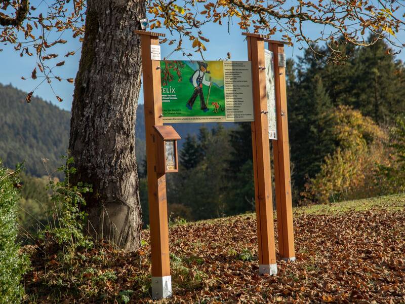 Infotafel Felixpfad unter einem Baum