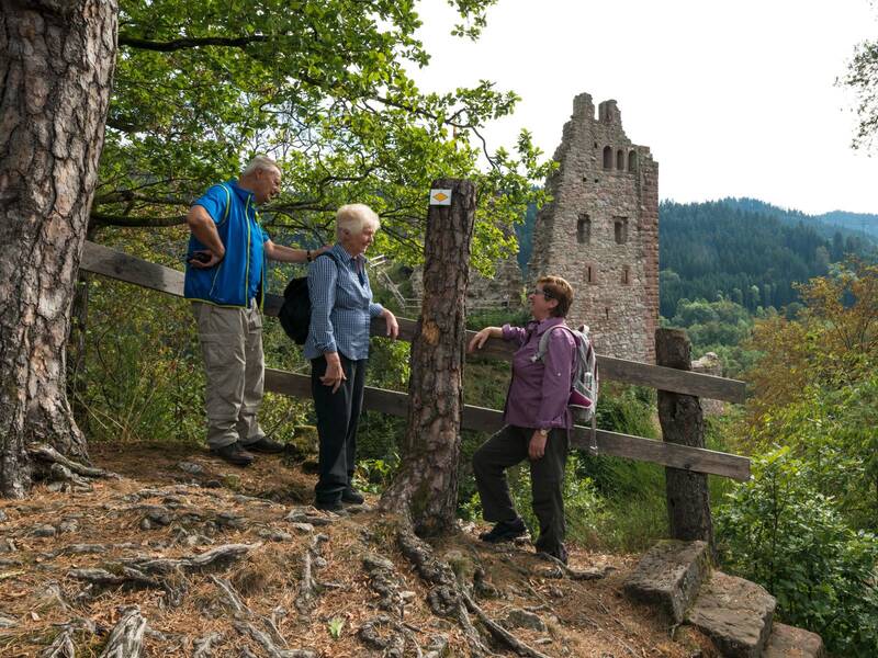 Drei Wandernde stehen im lichten Wald vor der Ruine Schenkenburg